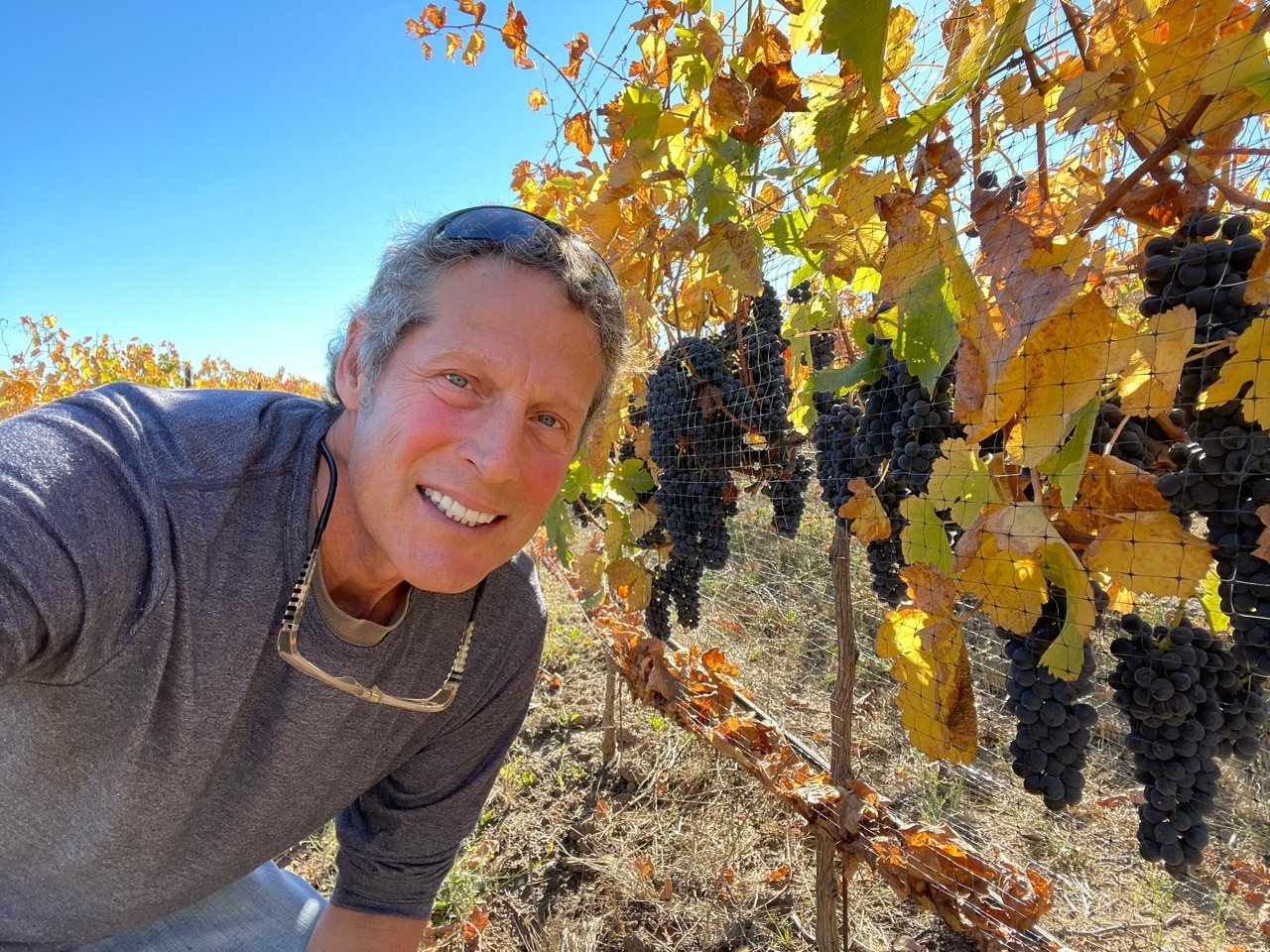 Tomi Cellars
