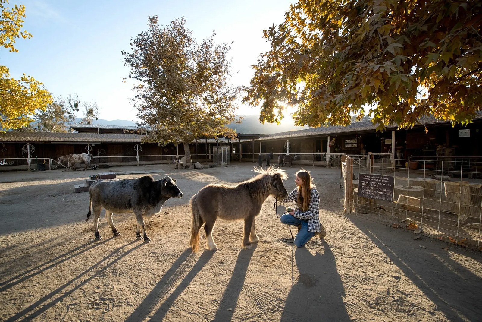 Alisal Ranch