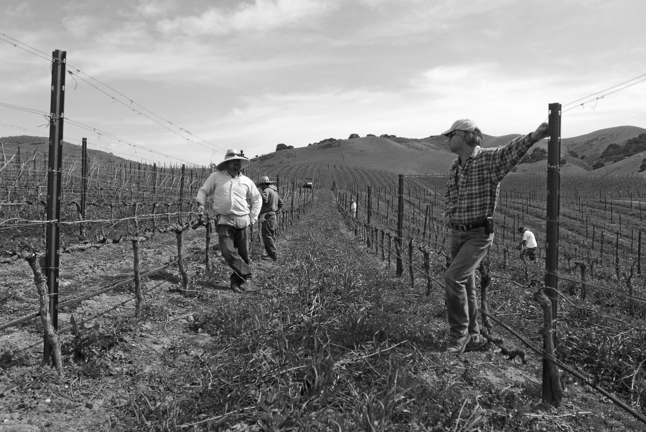 Ampelos Cellars