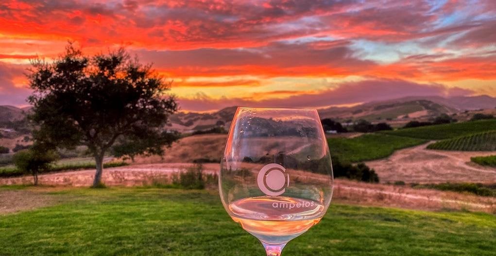 Ampelos Cellars