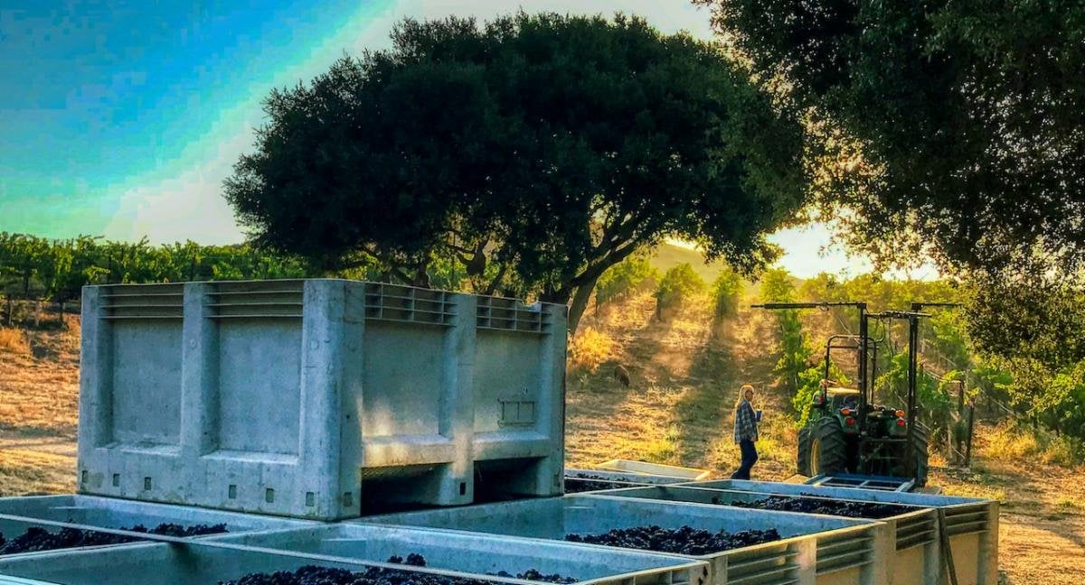 Ampelos Cellars