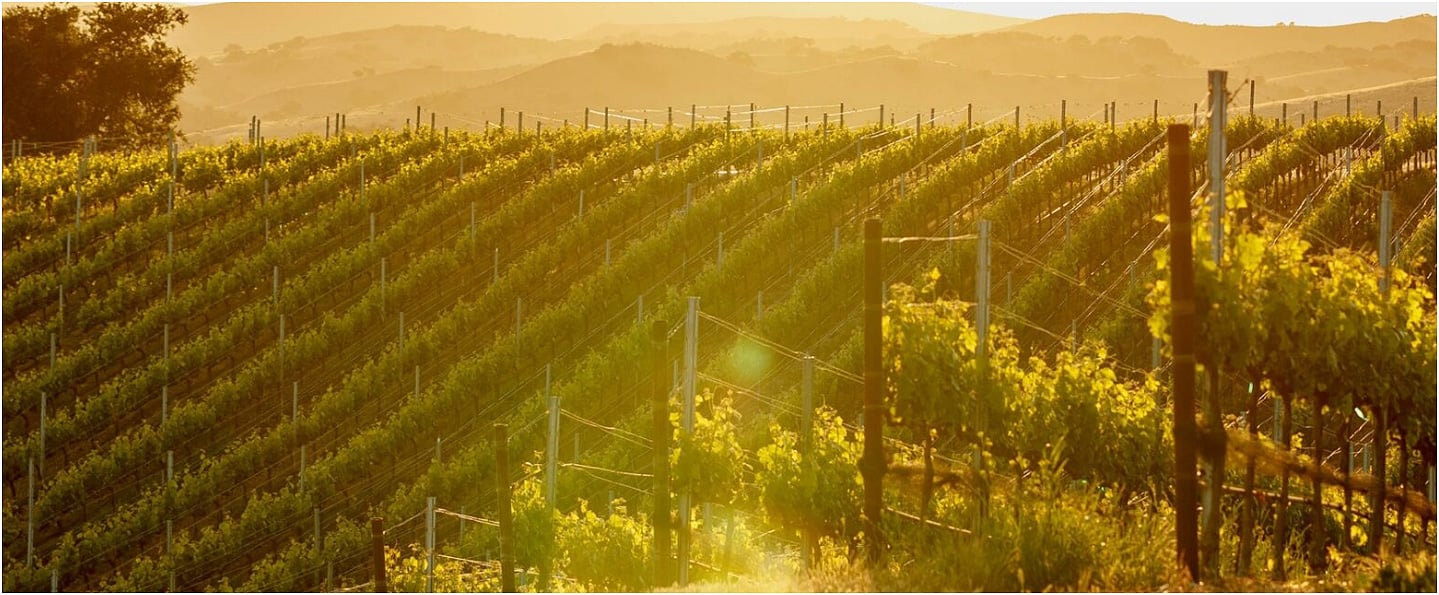 Brick Barn Wine Estate