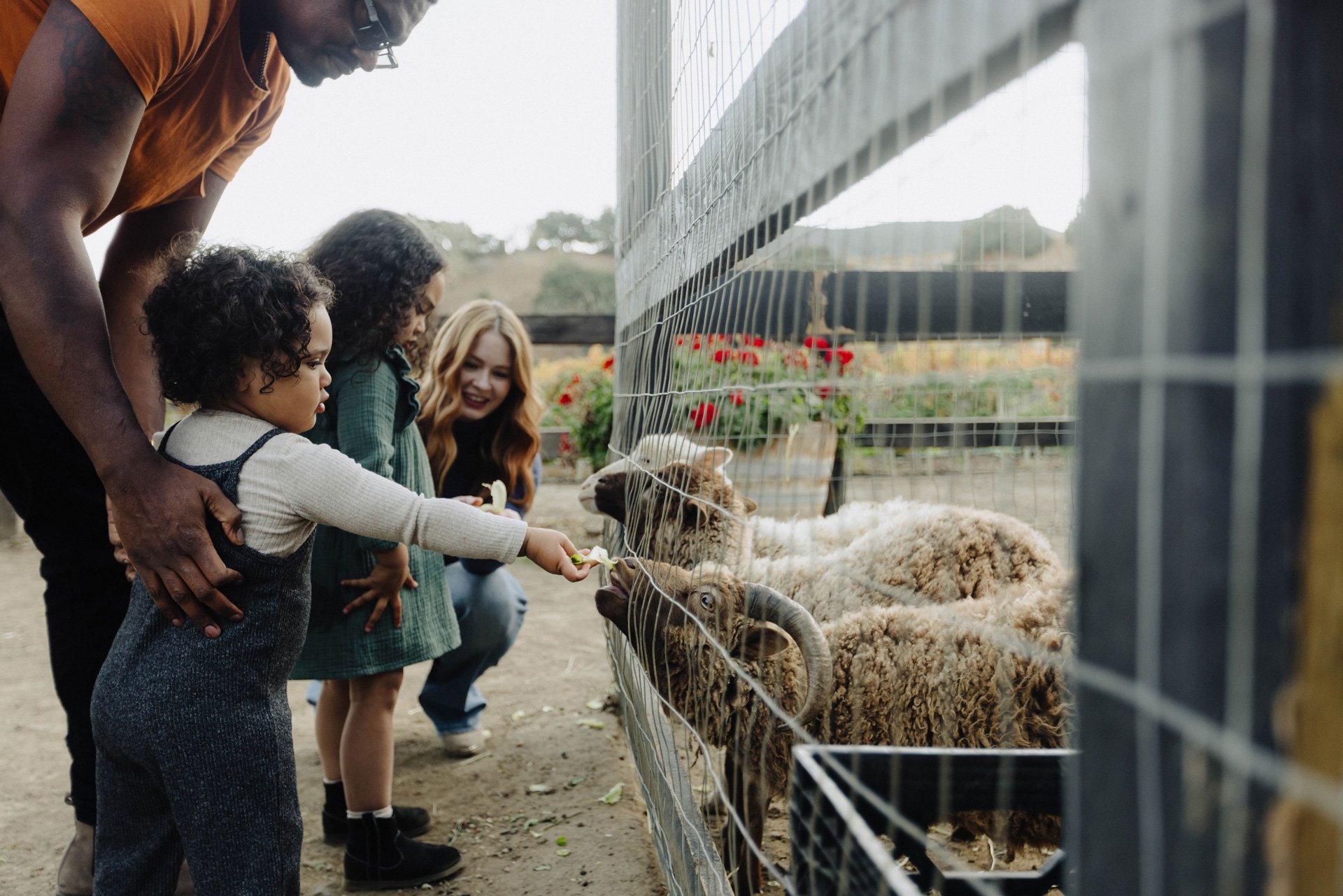 Visit the Santa Ynez Valley