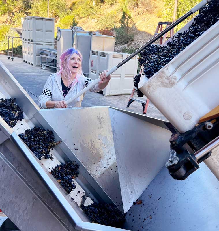 Future Perfect Wine