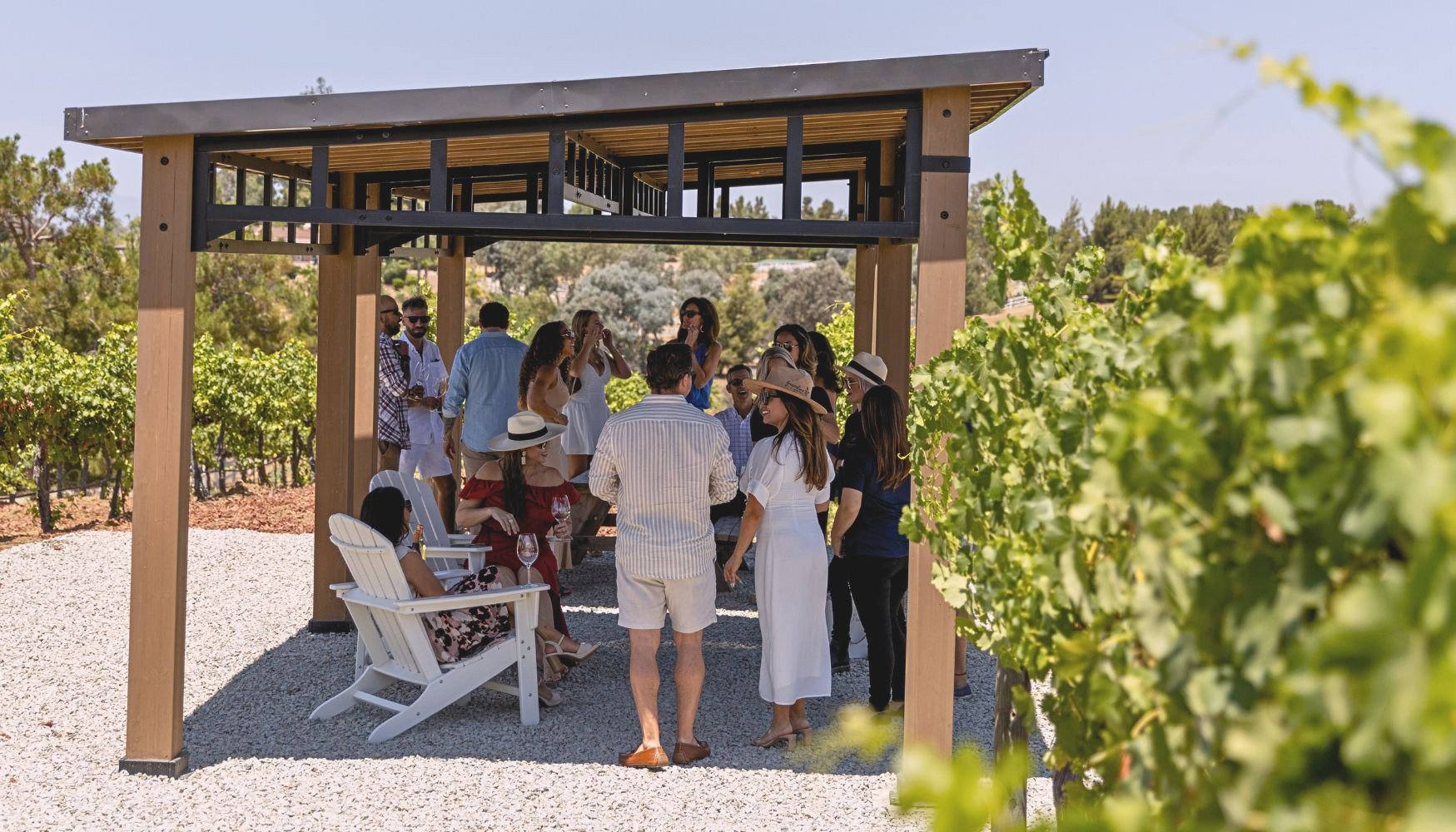 Grapeline Wine Tours
