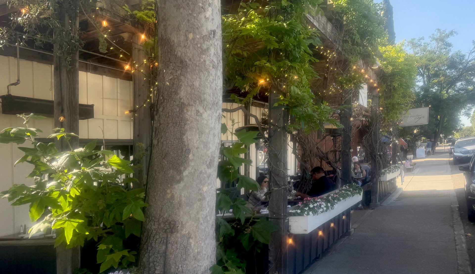 Los Olivos Wine Merchant & Cafe