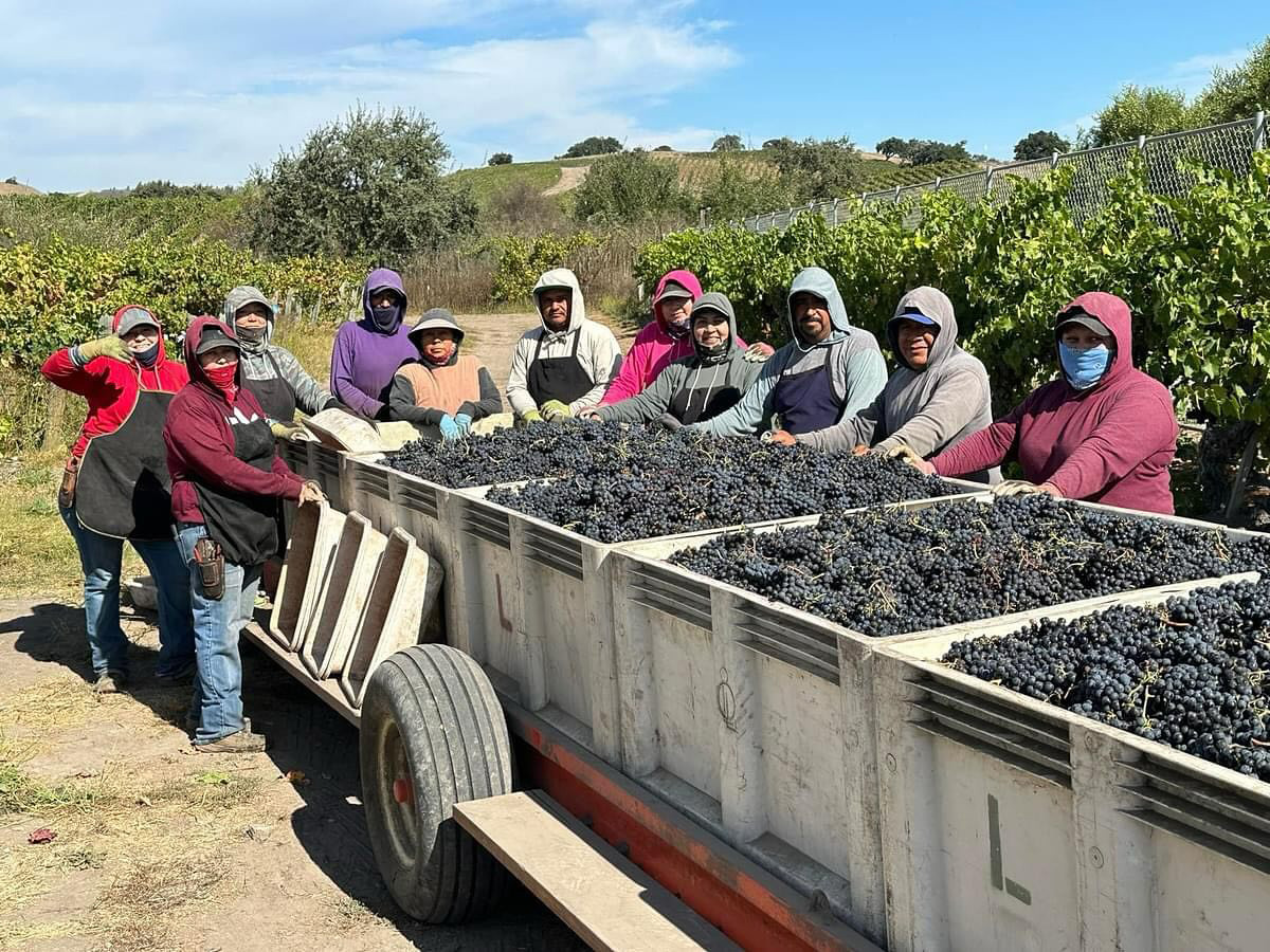 Lucas & Lewellen Vineyards Inc.