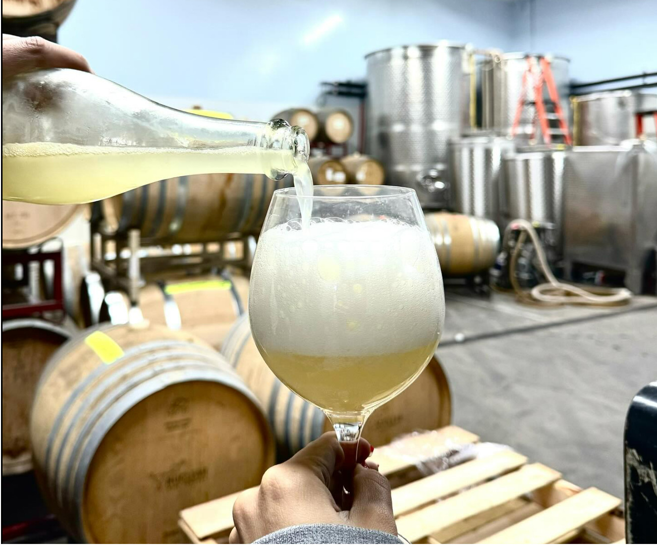 Lumen Wines
