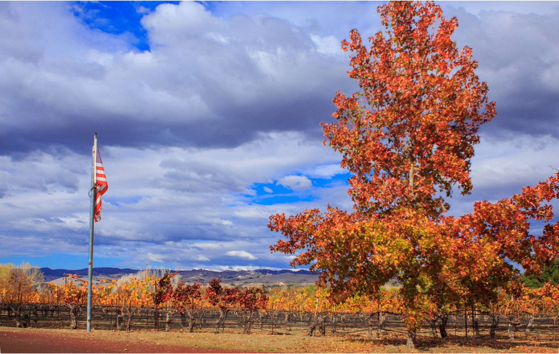 Miller Family Wines