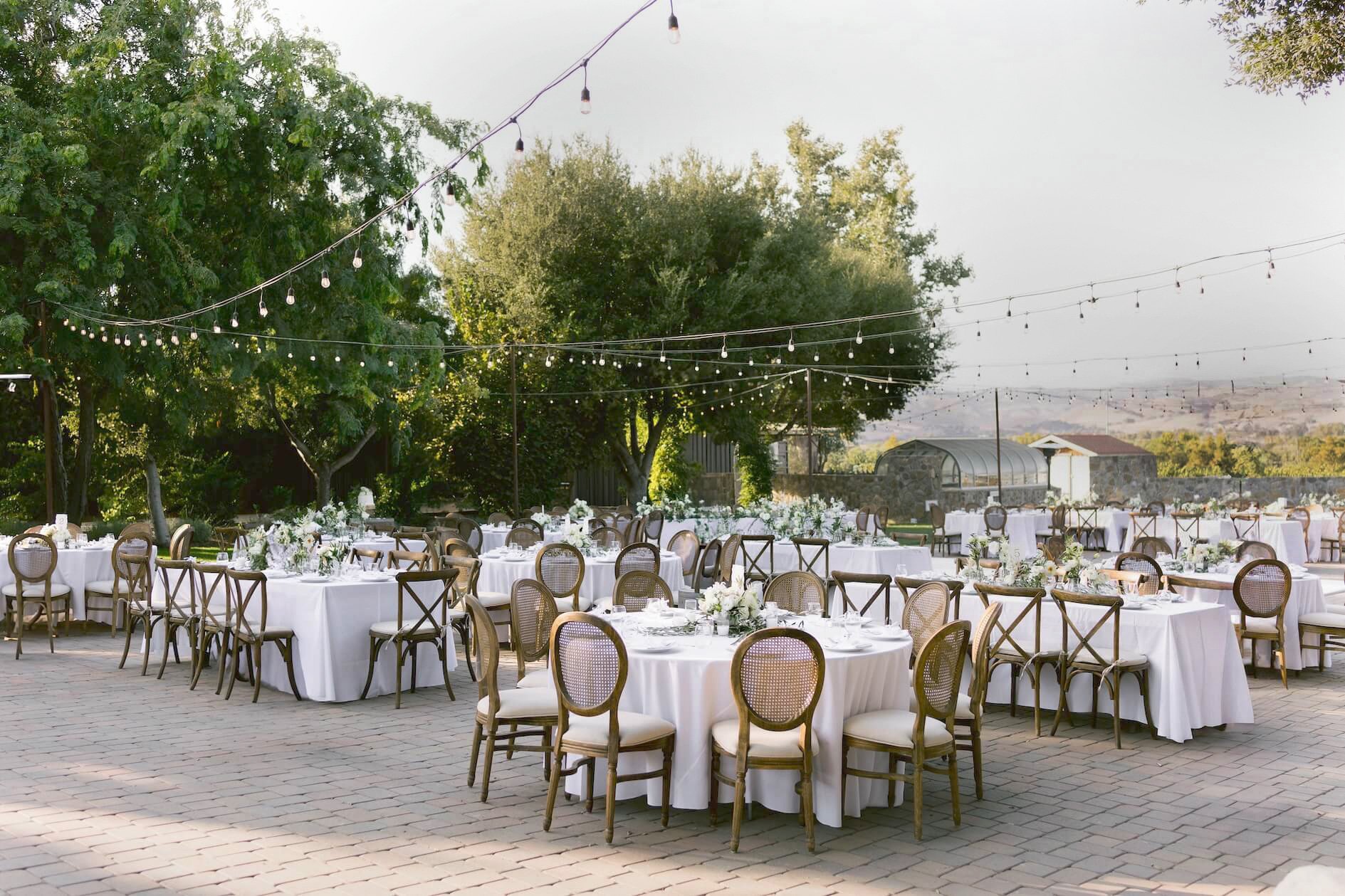 Vega Vineyard and Farm