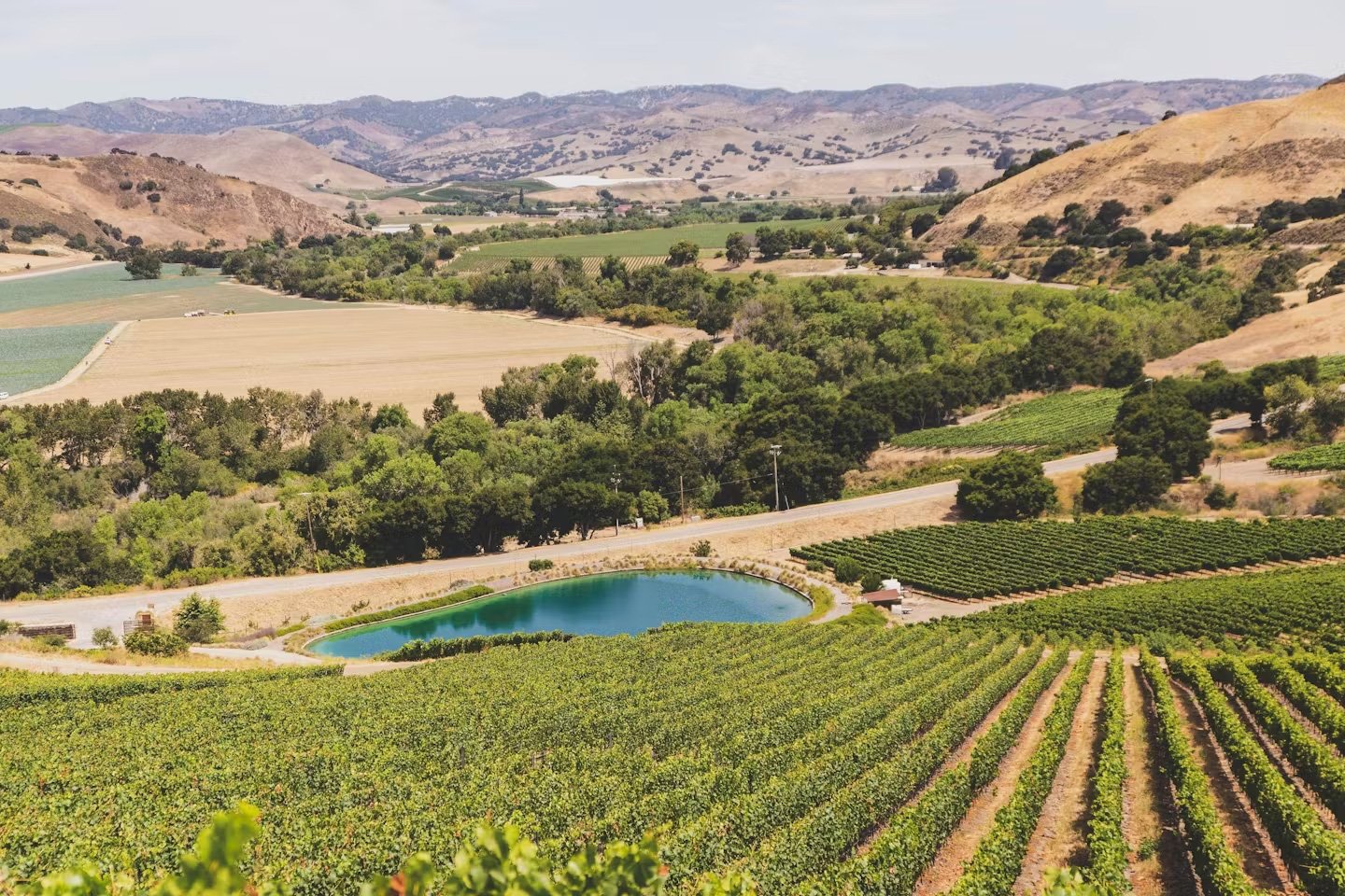 Peake Ranch Winery