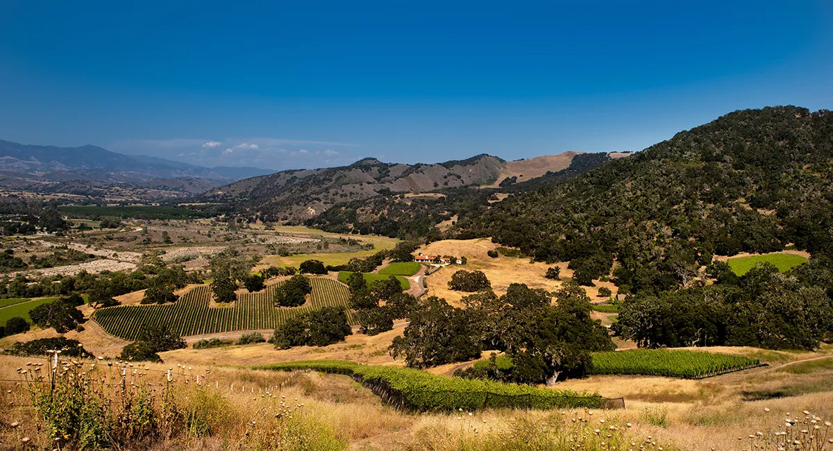 Refugio Ranch Vineyards
