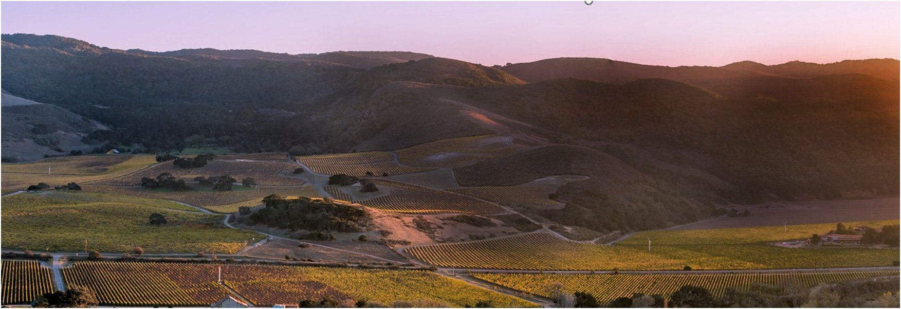 Sanford Winery & Vineyards