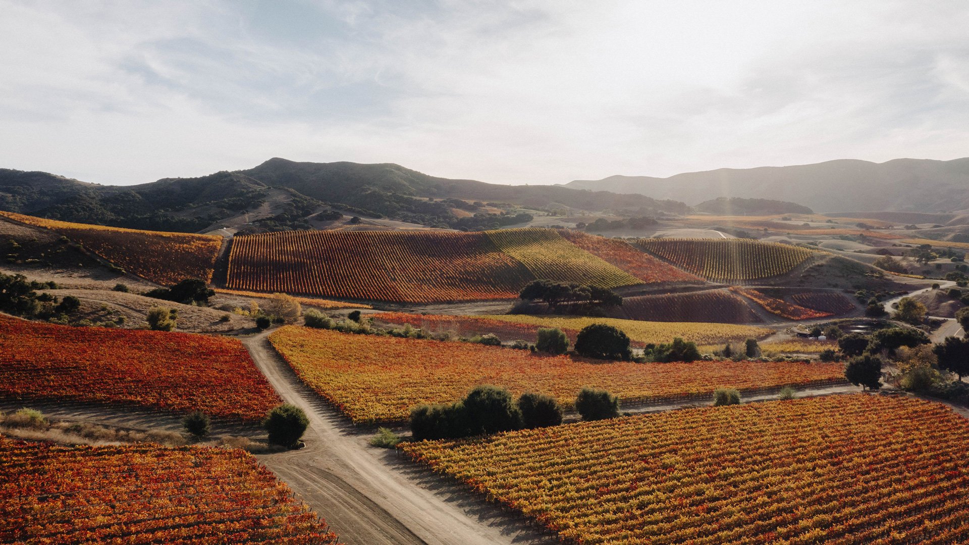 Visit the Santa Ynez Valley