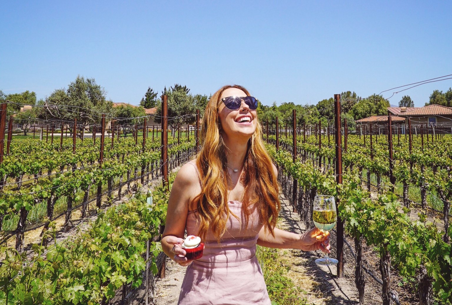 Santa Barbara Wine Country Tours/Santa Barbara Adventure Company