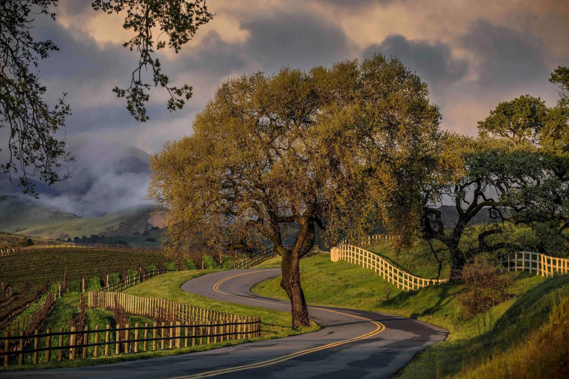 Stagecoach Co. Wine Tours Inc.