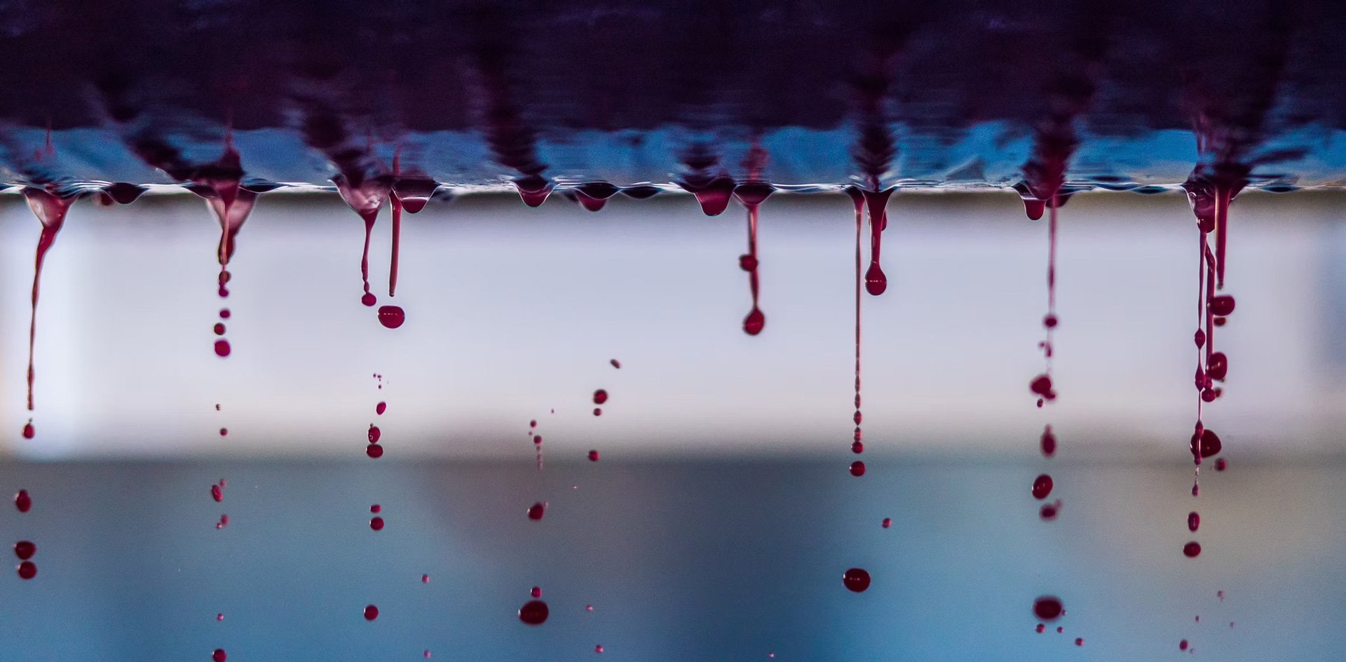 Storm Wines