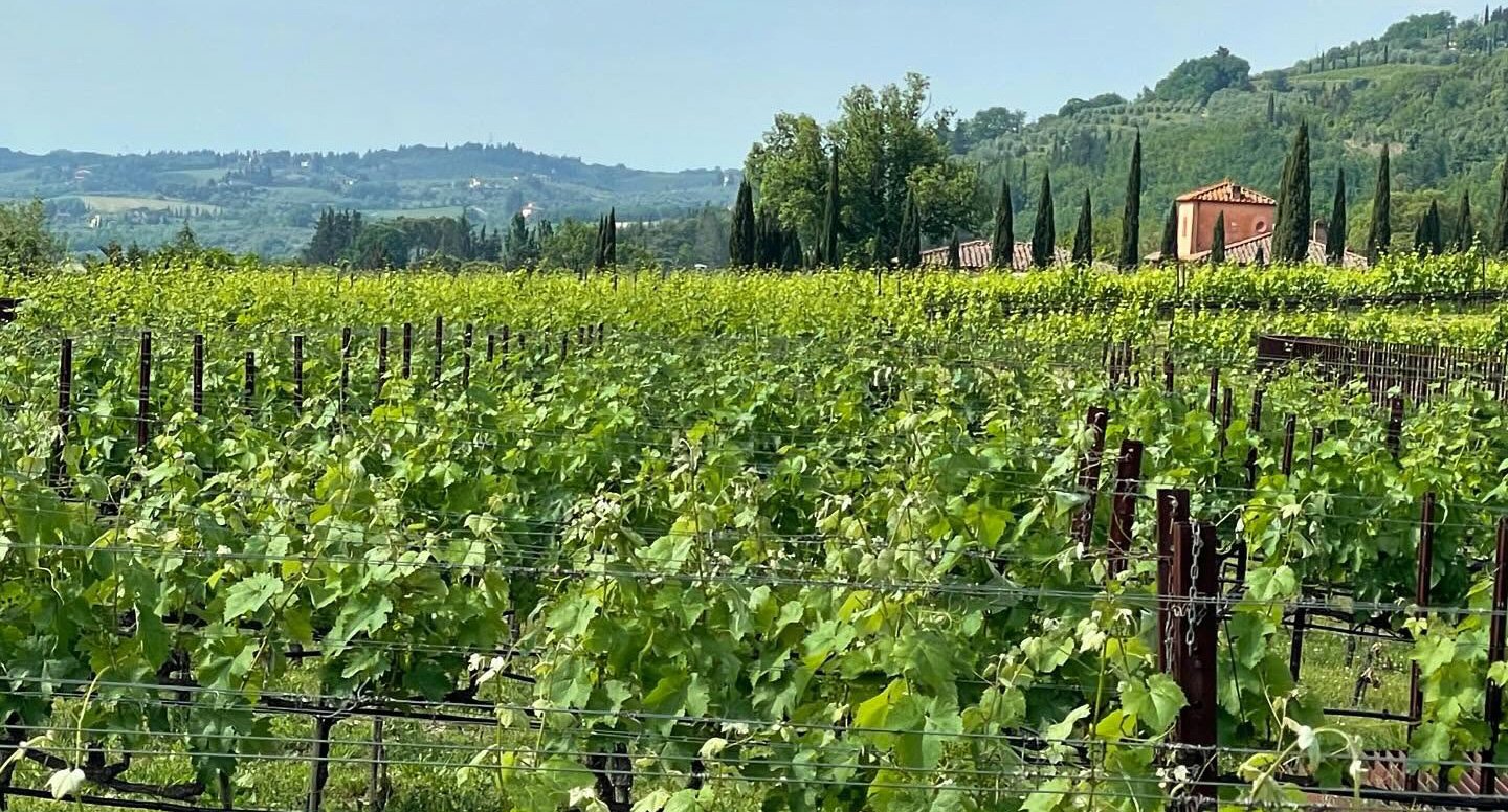 Toccata Tasting Room