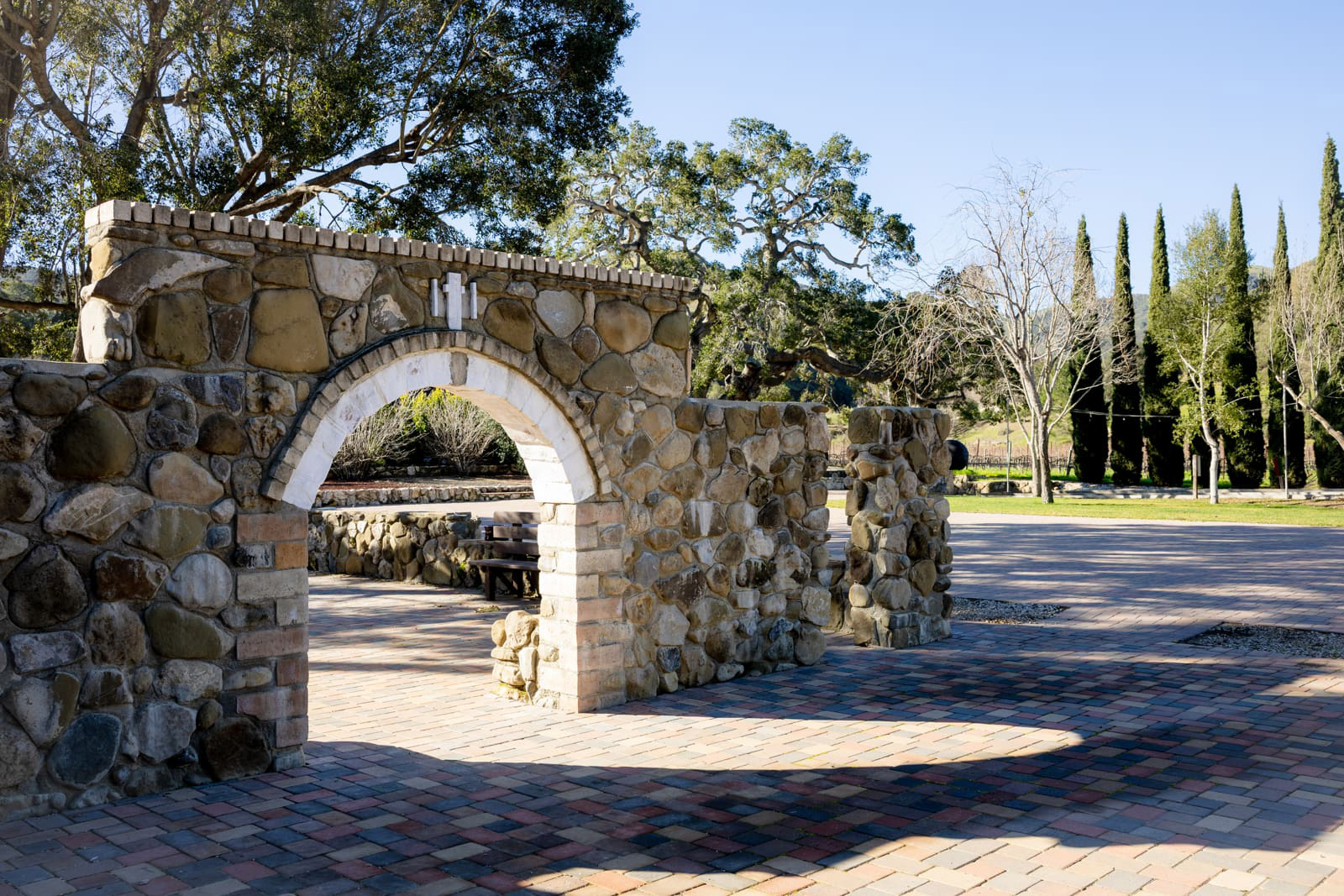 Vega Vineyard and Farm