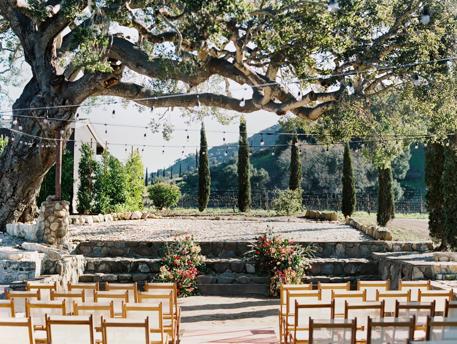 Vega Vineyard and Farm