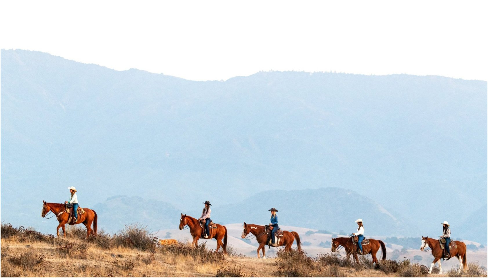 Vino Vaqueros Horseback Riding